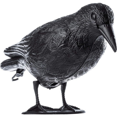 TG60297 DUŻY KRUK ODSTRASZACZ PTAKÓW GOŁĘBI SZPAKÓW