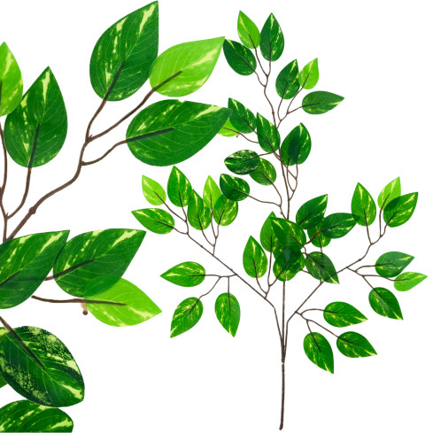 CV33350 GAŁĄZKA OZDOBNA FIKUS FICUS LISTKI LIŚCIE DO stroika WAZONU KOMPOZYCJI