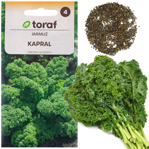 W1066 NASIONA JARMUŻU JARMUŻ KAPRAL ZIELONY ŚREDNIOWCZESNY ODPORNY ZDROWY 1g