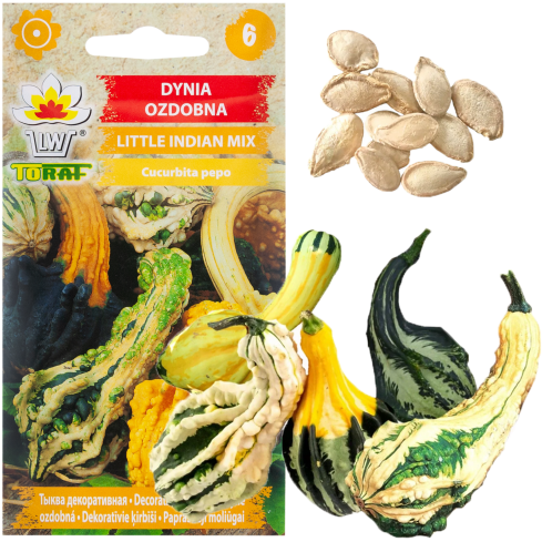 W7059 Dynia ozdobna little indian, nasiona dyni mix, różne kolory kształty dyni, dynia nasiona 2g