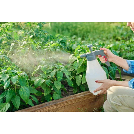 SUM41 Help Plant MG Magnez na choroby roślin, środek na niedobory magnezu 20 g Sumin