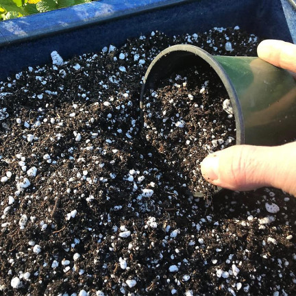 BIO2 BIOVITA PERLIT OGRODNICZY 10L NATURALNY SPULCHNIACZ DODATEK DO PODŁOŻA