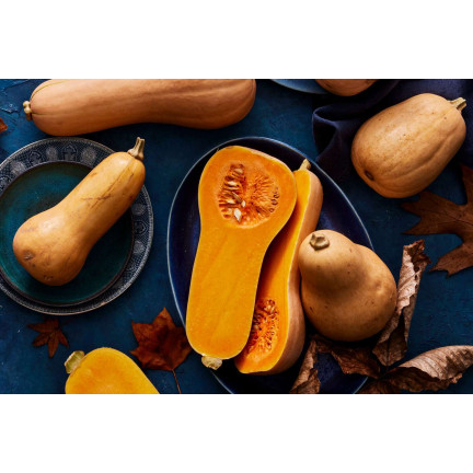 Z3036 Nasiona Dyni DYNIA PIŻMOWA BUTTERNUT nasiona warzyw BEZWŁÓKNISTA
