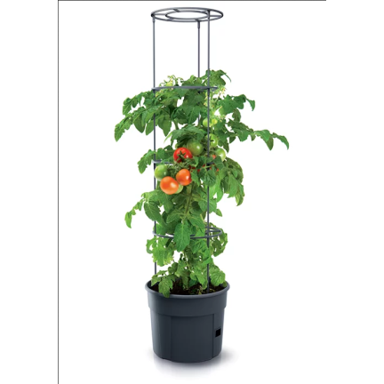 IPOM400-S433 DONICA DONICZKA Z OBRĘCZAMI ZESTAW DO UPRAWY POMIDORÓW GROWER NA POMIDORY