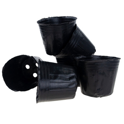 TG70302 DONICZKI PRODUKCYJNE DO ROZSAD UPRAW WYSIEWU SADZONKI 10X10 10SZT/KPL