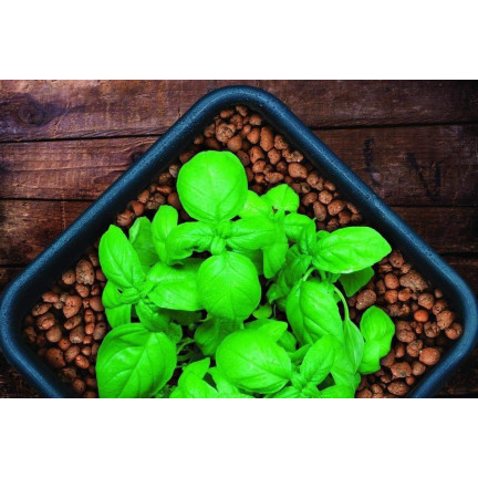 BIO13 KERAMZYT DROBNY 5L 4-8MM OGRODNICZY NATURALNY DRENAŻ DONICZKI