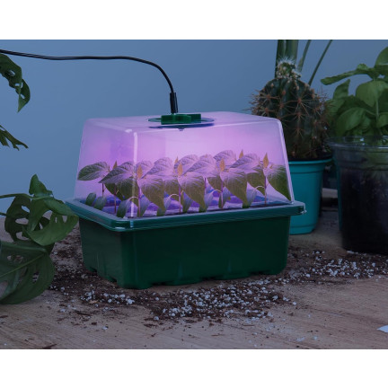 TG77615 Zestaw 5 mini szklarni rozsady z oświetleniem LED, idealne dla kiełkowania i wzrostu roślin, tace startowe