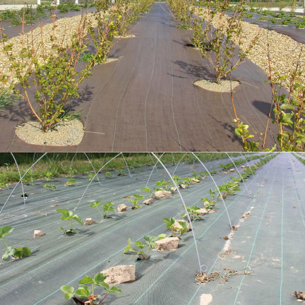 TG77638 Gruba agrowłóknina antychwastowa, agrotkanina 2x20m, czarna na chwasty, 40m2