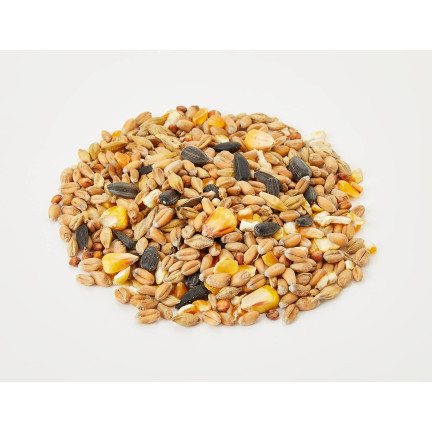 Mieszanka dla dzikich ptaków, karma całoroczna, ziarna zbóż, Turdus 1kg