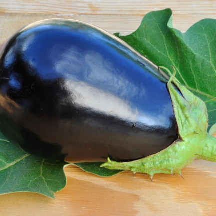 W1003 BAKŁAŻAN NASIONA OBERŻYNA BLACK BEAUTY FIOLETOWA GRUSZKA MIŁOŚCI 1G