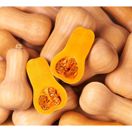 Z3036 Nasiona Dyni DYNIA PIŻMOWA BUTTERNUT nasiona warzyw BEZWŁÓKNISTA