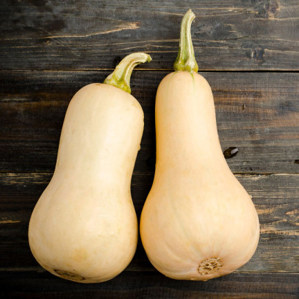 Z3036 Nasiona Dyni DYNIA PIŻMOWA BUTTERNUT nasiona warzyw BEZWŁÓKNISTA