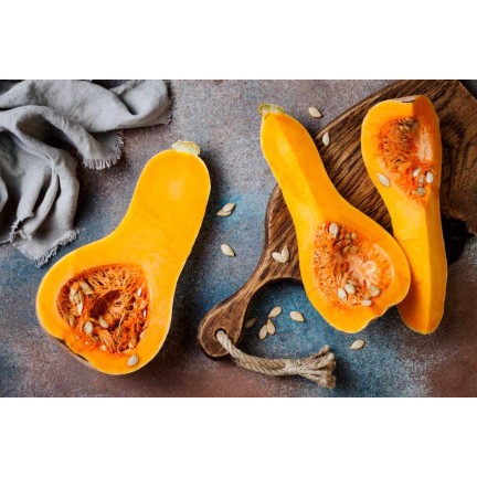 Z3036 Nasiona Dyni DYNIA PIŻMOWA BUTTERNUT nasiona warzyw BEZWŁÓKNISTA