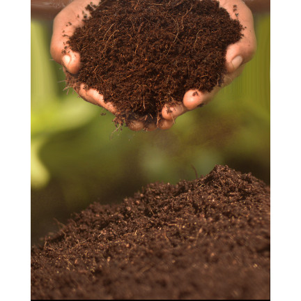 BIO16 BIOVITA COCO PEAT WŁÓKNO KOKOSOWE PODŁOŻE ROZLUŹNIONE 0-10MM 5L