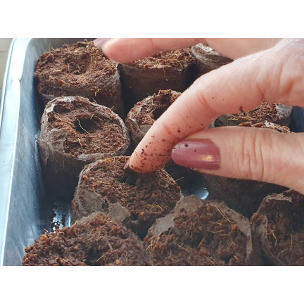 TG67344 KRĄŻKI KOKOSOWE TORFOWE PODŁOŻE DO KIEŁKOWANIA KLONOWANIA WYSIEWU 20SZT 3,5cm