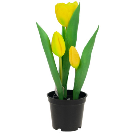 CV10553-3 TULIPAN TULIPANY GUMOWANE KWIATY JAK ŻYWE PREMIUM