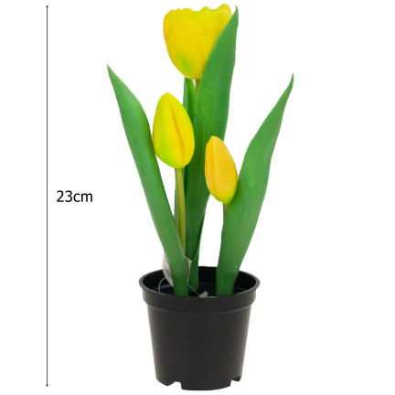 CV10553-3 TULIPAN TULIPANY GUMOWANE KWIATY JAK ŻYWE PREMIUM