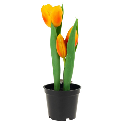 CV10553-4 TULIPAN TULIPANY GUMOWANE KWIATY JAK ŻYWE PREMIUM W DONICZCE POMARAŃCZOWE