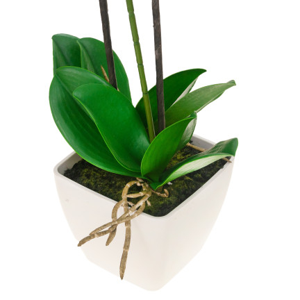 CV14308-1 STORCZYK W DONICZCE GUMOWANY DWUPĘDY JAK ŻYWY 55cm