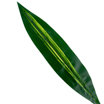 CV15772 DRACENA, LIŚĆ DRACENY ZIELONY PIKOK KWIATY SZTUCZNE 60cm Szabla do stroika