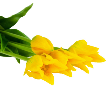 CV17691-3 TULIPANY TULIPAN BUKIET PAPUZIE GUMOWANE 5SZT JAK ŻYWE