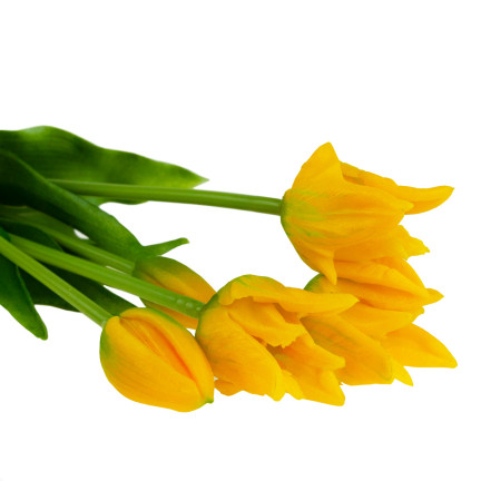 CV17691-3 TULIPANY TULIPAN BUKIET PAPUZIE GUMOWANE 5SZT JAK ŻYWE