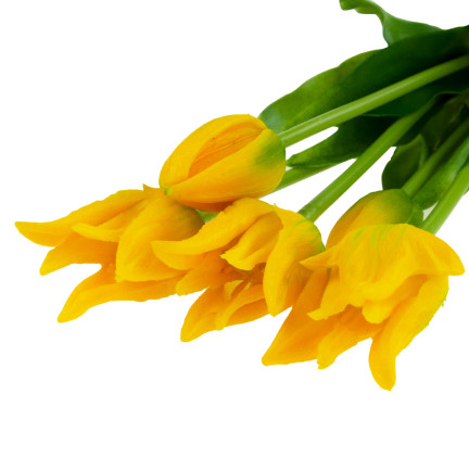 CV17691-3 TULIPANY TULIPAN BUKIET PAPUZIE GUMOWANE 5SZT JAK ŻYWE