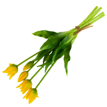 CV17691-3 TULIPANY TULIPAN BUKIET PAPUZIE GUMOWANE 5SZT JAK ŻYWE