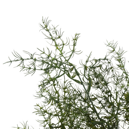 CV13686-3 GAŁĄZKA DEKORACYJNA ASPARAGUS SZTUCZNE KWIATY OZDOBNA DODATEK DO BUKIETÓW GRÓB