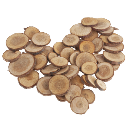 CV34574 KRĄŻKI DREWNIANE DEKORACJA NATURA W WORKU DIY RĘKODZIEŁO