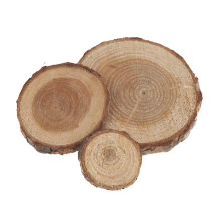 CV34574 KRĄŻKI DREWNIANE DEKORACJA NATURA W WORKU DIY RĘKODZIEŁO