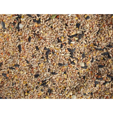 Mieszanka dla dzikich ptaków, karma całoroczna, ziarna zbóż, Turdus 1kg
