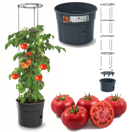 IPOM400-S433 DONICA DONICZKA Z OBRĘCZAMI ZESTAW DO UPRAWY POMIDORÓW GROWER NA POMIDORY