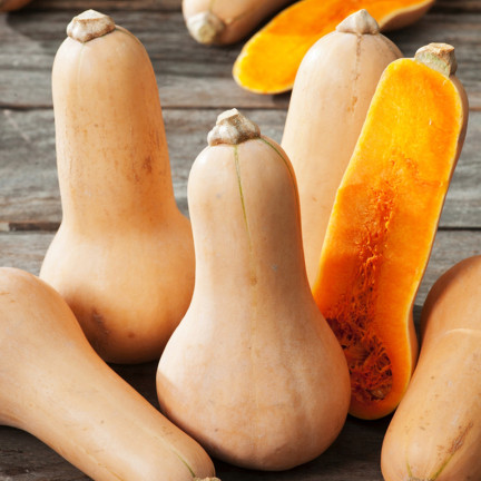 Z3036 Nasiona Dyni DYNIA PIŻMOWA BUTTERNUT nasiona warzyw BEZWŁÓKNISTA