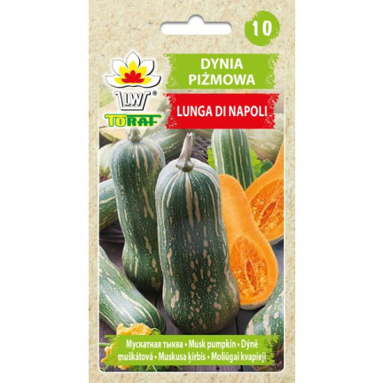 W1245 DYNIA PIŻMOWA BUTTERNUT CUCURBITA MOSCHATA NASIONA DYNI DELIKATNY SMAK 5G