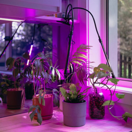 IM011 LAMPA LED DO UPRAWY ROŚLIN WZROSTU KWIATÓW Z KLIPSEM REGULACJA TIMER