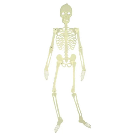 Wiszący szkielet, fluorescencyjny, świecący w ciemności, dekoracja Halloween, 140cm