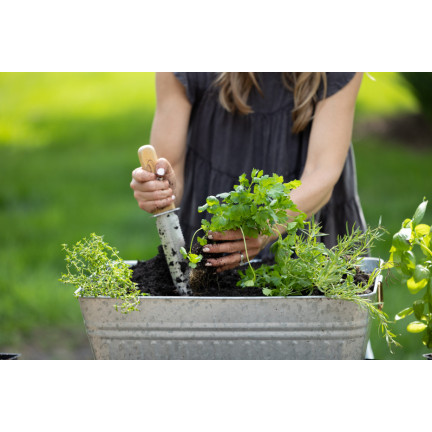 BIO30 Biovita Ziemia, Podłoże BIO do Ziół, Naturalna 10L