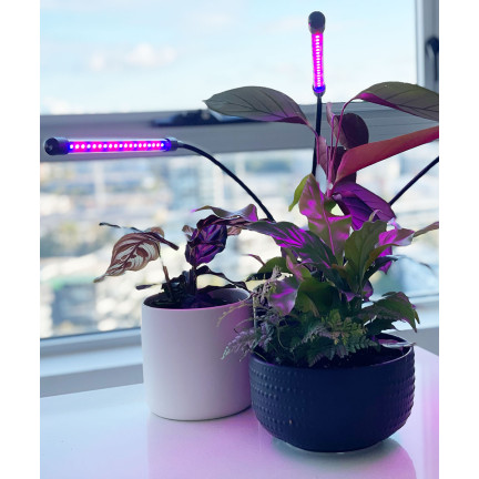 IM011 LAMPA LED DO UPRAWY ROŚLIN WZROSTU KWIATÓW Z KLIPSEM REGULACJA TIMER