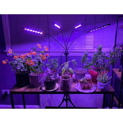 IM012 LAMPA DO WZROSTU ROŚLIN DOŚWIETLANIA DUŻA 4 PANELE PILOT TIMER STOJAK