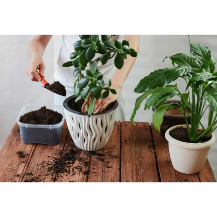 BIO9 ZIEMIA DO PALM JUK DRACEN 5L PODŁOŻE DO ROŚLIN ZIELONYCH Z NAWOZEM BIOVITA