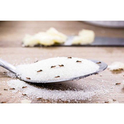 SUM17 Proszek granulat na mrówki, Sumin 1kg, zwalcza mrówki, likwiduje gniazda