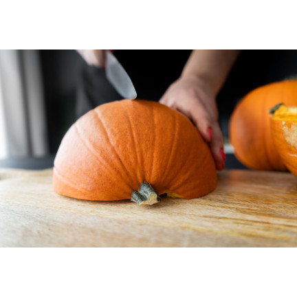 W1038 DYNIA OLBRZYMIA GOLIAS CUCURBITA MAXIMA NASIONA DYNIA OWOCE DO 30KG 4G