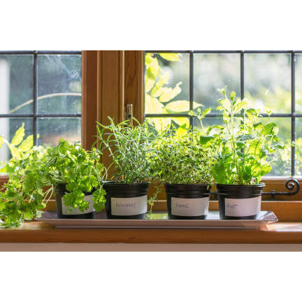 BIO30 Biovita Ziemia, Podłoże BIO do Ziół, Naturalna 10L