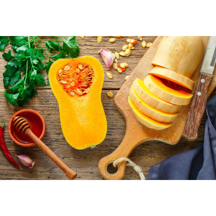 Z3036 Nasiona Dyni DYNIA PIŻMOWA BUTTERNUT nasiona warzyw BEZWŁÓKNISTA