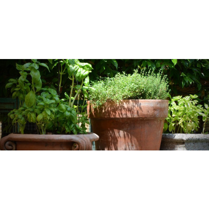 BIO30 Biovita Ziemia, Podłoże BIO do Ziół, Naturalna 10L