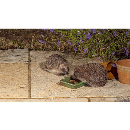 Karma dla jeży wolnożyjących, mieszanka paszowa pełnoporcjowa, bogata w białko, Turdus 500g