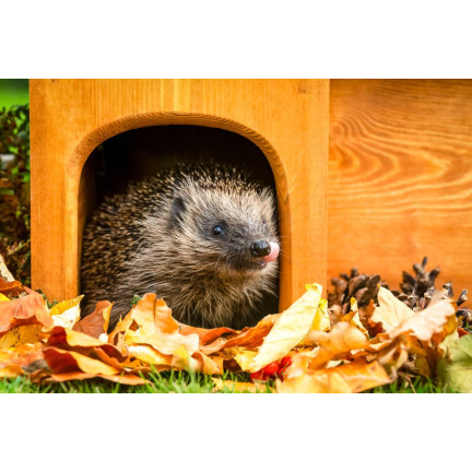 Karma dla jeży wolnożyjących, mieszanka paszowa pełnoporcjowa, bogata w białko, Turdus 500g