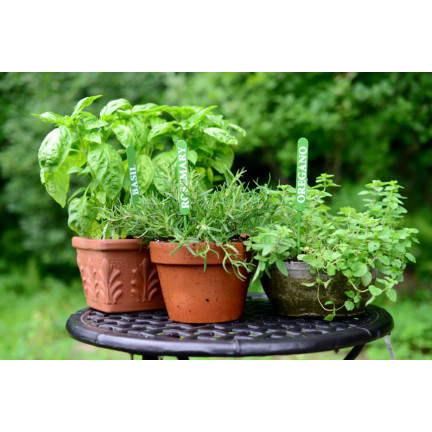 BIO30 Biovita Ziemia, Podłoże BIO do Ziół, Naturalna 10L