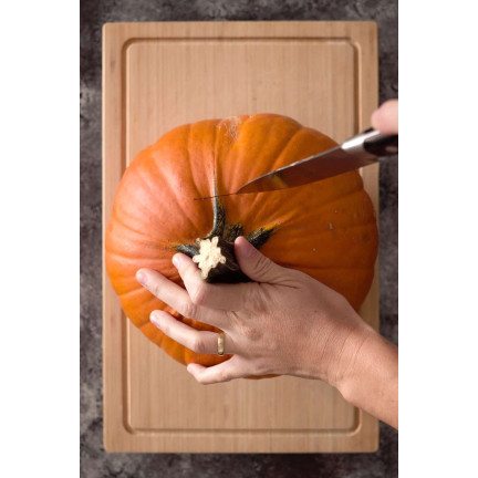 W1038 DYNIA OLBRZYMIA GOLIAS CUCURBITA MAXIMA NASIONA DYNIA OWOCE DO 30KG 4G